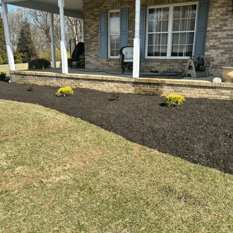 Our Recent Lawn & Landscape Transformations (25)