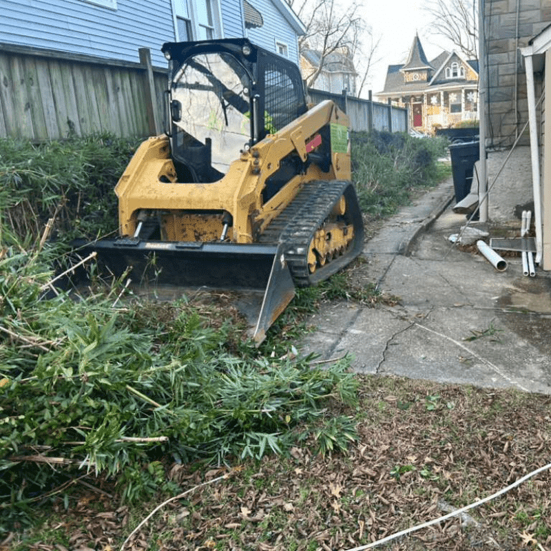 Our Recent Lawn & Landscape Transformations (29)