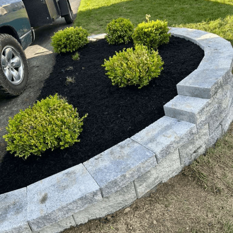 Our Recent Lawn & Landscape Transformations (38)