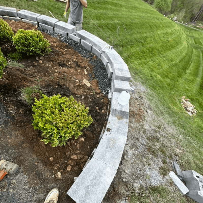 Our Recent Lawn & Landscape Transformations (41)