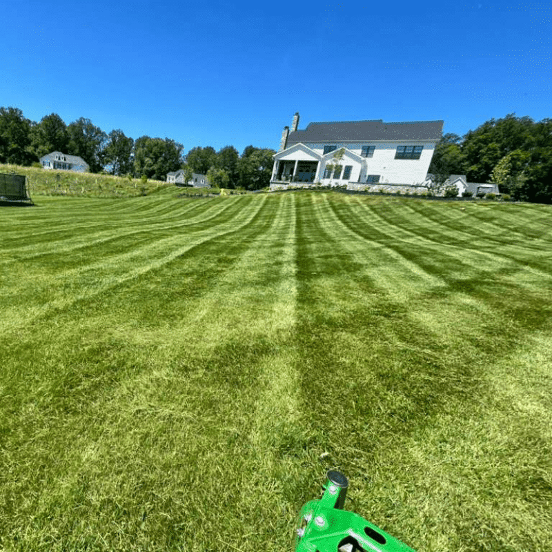 Our Recent Lawn & Landscape Transformations (49)