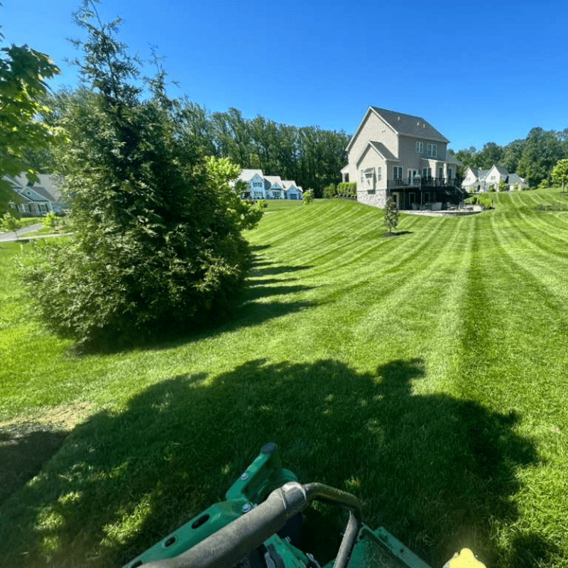 Our Recent Lawn & Landscape Transformations (50)