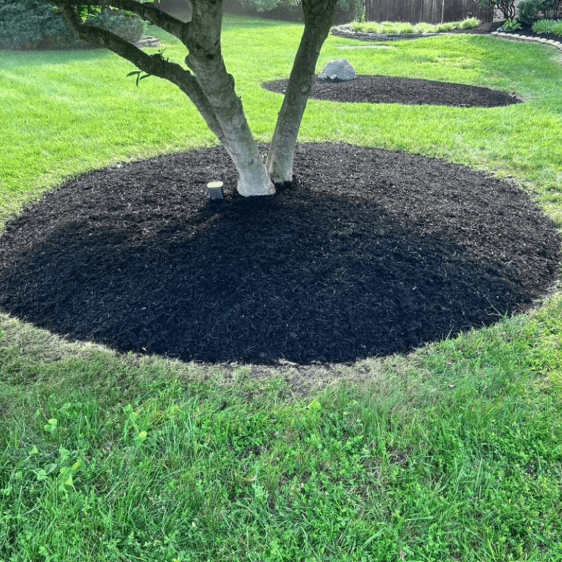 Our Recent Lawn & Landscape Transformations (54)