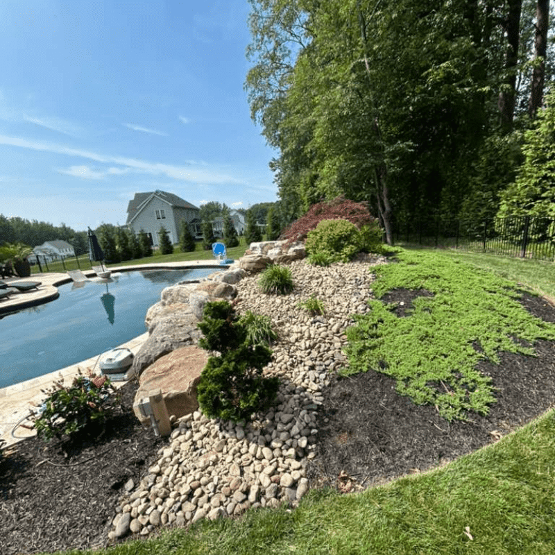Our Recent Lawn & Landscape Transformations (59)
