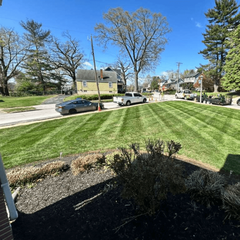 Our Recent Lawn & Landscape Transformations (69)