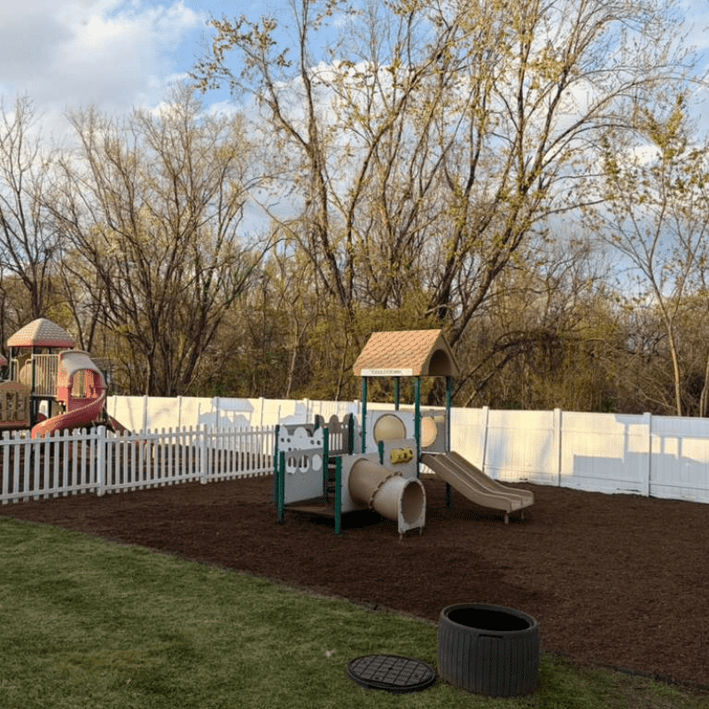Our Recent Lawn & Landscape Transformations (86)