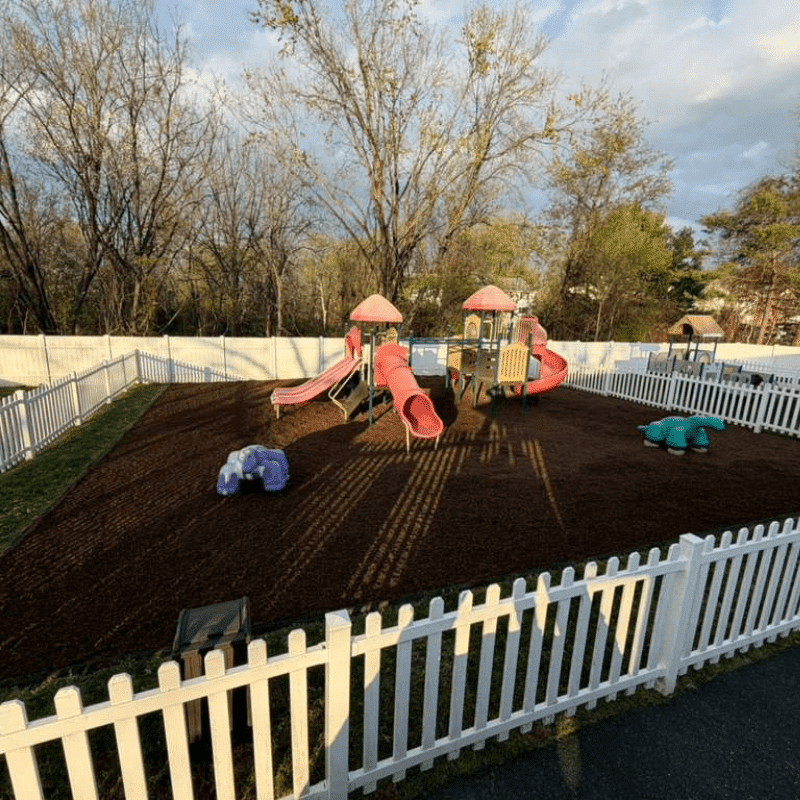 Our Recent Lawn & Landscape Transformations (87)